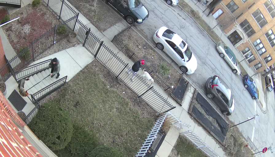 Reolink Camera Two_01_Reolink Home Hub One_20260323080325.jpg